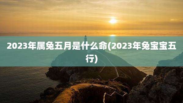 2023年属兔五月是什么命(2023年兔宝宝五行)