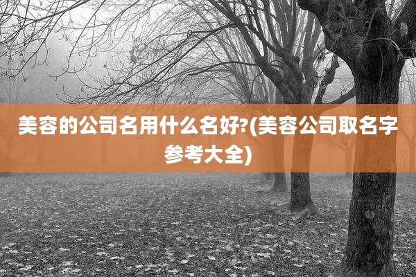 美容的公司名用什么名好?(美容公司取名字参考大全)