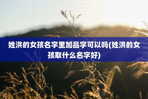 姓洪的女孩名字里加品字可以吗(姓洪的女孩取什么名字好)