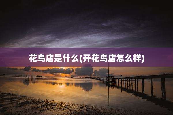 花鸟店是什么(开花鸟店怎么样)