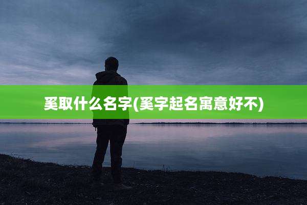 奚取什么名字(奚字起名寓意好不)