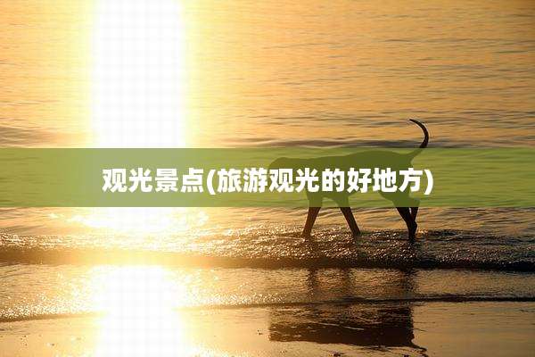 观光景点(旅游观光的好地方)