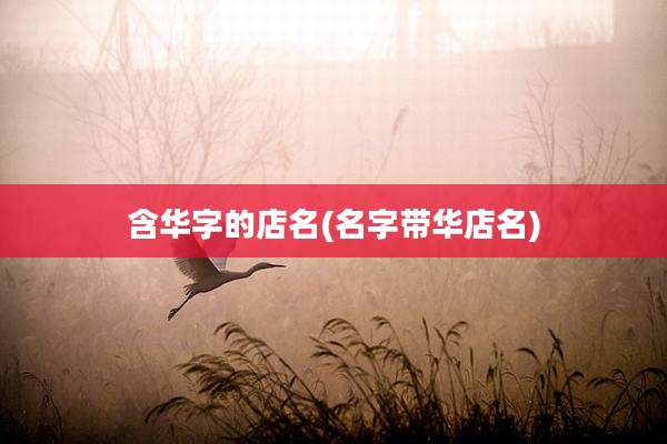 含华字的店名(名字带华店名)