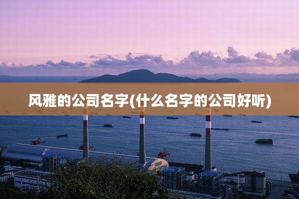 风雅的公司名字(什么名字的公司好听)