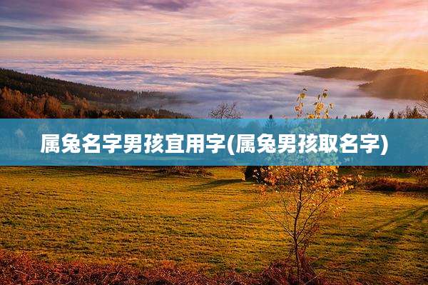属兔名字男孩宜用字(属兔男孩取名字)