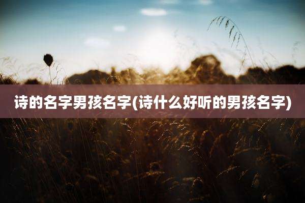 诗的名字男孩名字(诗什么好听的男孩名字)