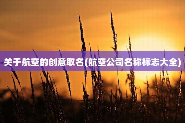 关于航空的创意取名(航空公司名称标志大全)