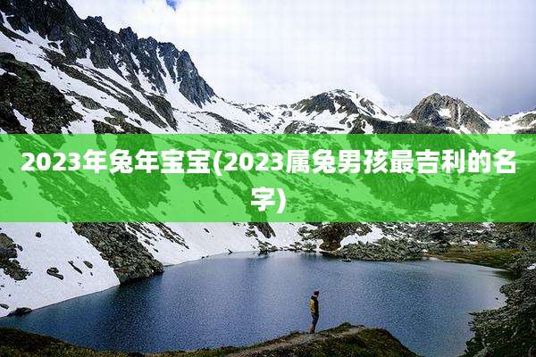 2023年兔年宝宝(2023属兔男孩最吉利的名字)