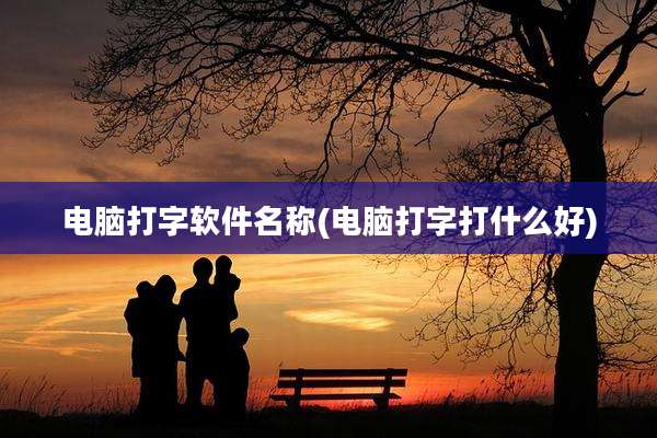 电脑打字软件名称(电脑打字打什么好)