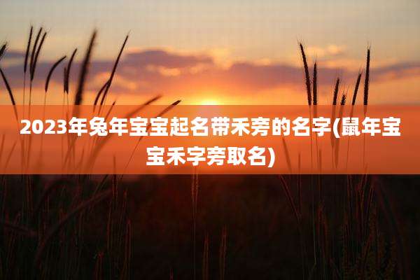 2023年兔年宝宝起名带禾旁的名字(鼠年宝宝禾字旁取名)