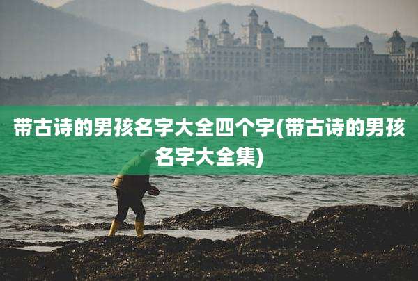 带古诗的男孩名字大全四个字(带古诗的男孩名字大全集)