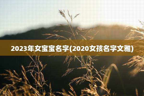 2023年女宝宝名字(2020女孩名字文雅)