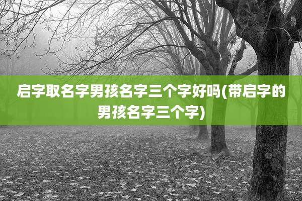 启字取名字男孩名字三个字好吗(带启字的男孩名字三个字)
