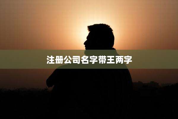 注册公司名字带王两字