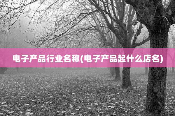 电子产品行业名称(电子产品起什么店名)