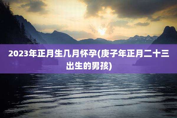 2023年正月生几月怀孕(庚子年正月二十三出生的男孩)
