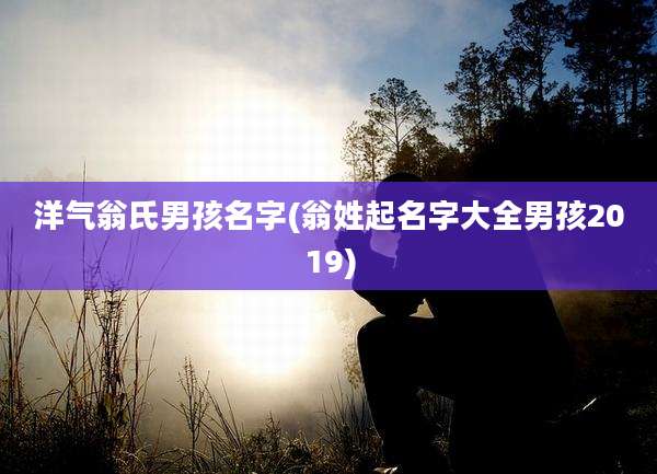洋气翁氏男孩名字(翁姓起名字大全男孩2019)
