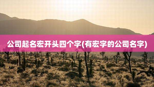 公司起名宏开头四个字(有宏字的公司名字)