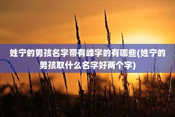 姓宁的男孩名字带有峰字的有哪些(姓宁的男孩取什么名字好两个字)