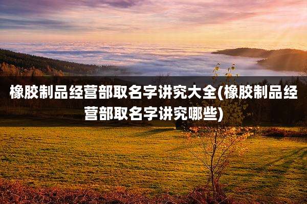 橡胶制品经营部取名字讲究大全(橡胶制品经营部取名字讲究哪些)