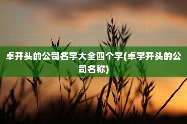 卓开头的公司名字大全四个字(卓字开头的公司名称)