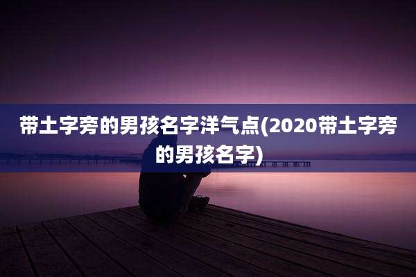 带土字旁的男孩名字洋气点(2020带土字旁的男孩名字)
