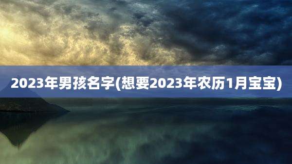 2023年男孩名字(想要2023年农历1月宝宝)