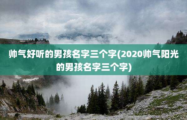 帅气好听的男孩名字三个字(2020帅气阳光的男孩名字三个字)