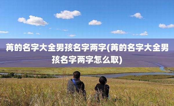 苒的名字大全男孩名字两字(苒的名字大全男孩名字两字怎么取)