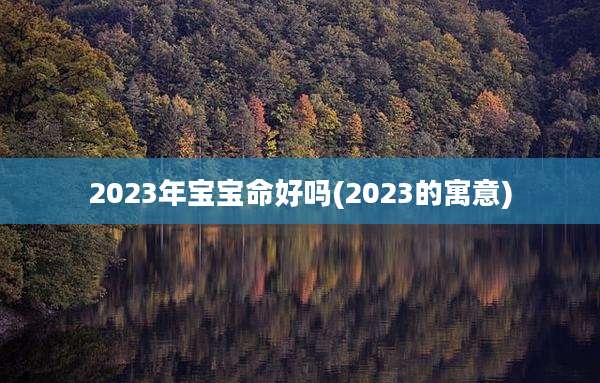 2023年宝宝命好吗(2023的寓意)