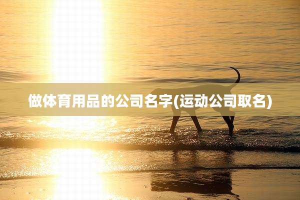 做体育用品的公司名字(运动公司取名)