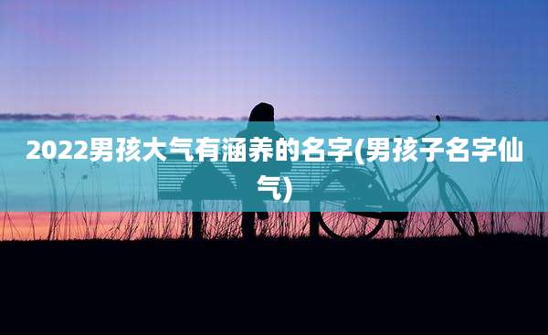2022男孩大气有涵养的名字(男孩子名字仙气)