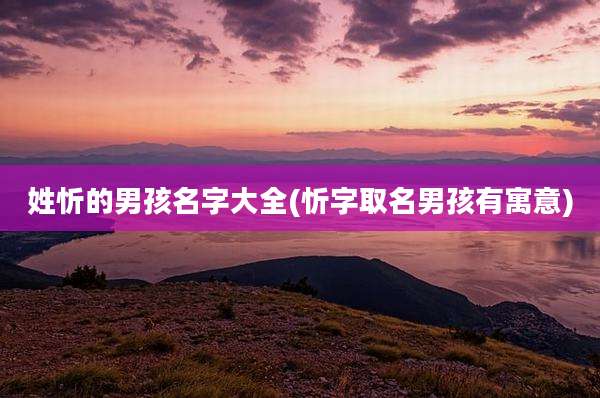 姓忻的男孩名字大全(忻字取名男孩有寓意)