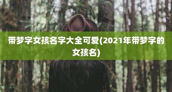 带梦字女孩名字大全可爱(2021年带梦字的女孩名)
