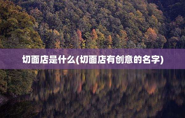 切面店是什么(切面店有创意的名字)