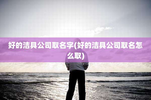 好的洁具公司取名字(好的洁具公司取名怎么取)