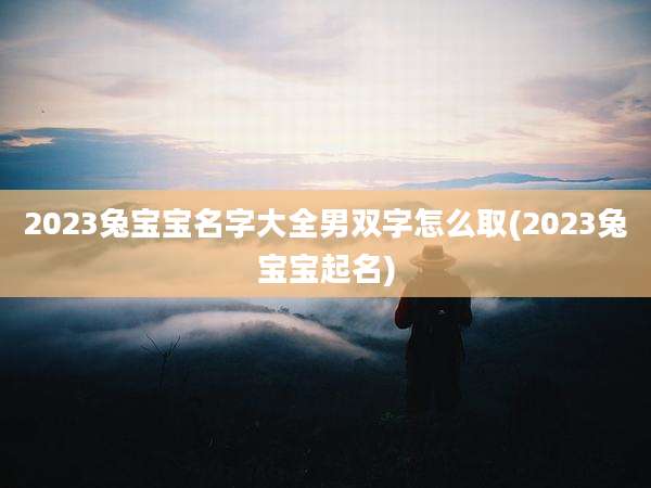2023兔宝宝名字大全男双字怎么取(2023兔宝宝起名)