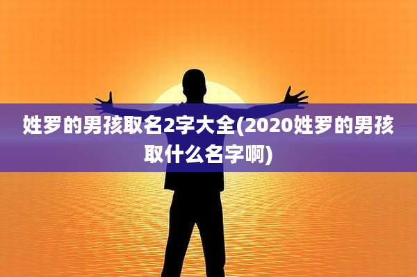 姓罗的男孩取名2字大全(2020姓罗的男孩取什么名字啊)