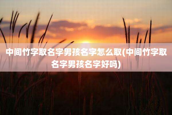 中间竹字取名字男孩名字怎么取(中间竹字取名字男孩名字好吗)