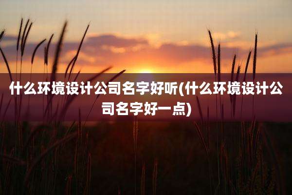 什么环境设计公司名字好听(什么环境设计公司名字好一点)