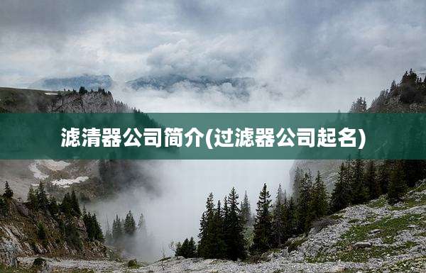 滤清器公司简介(过滤器公司起名)