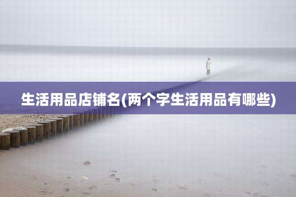 生活用品店铺名(两个字生活用品有哪些)