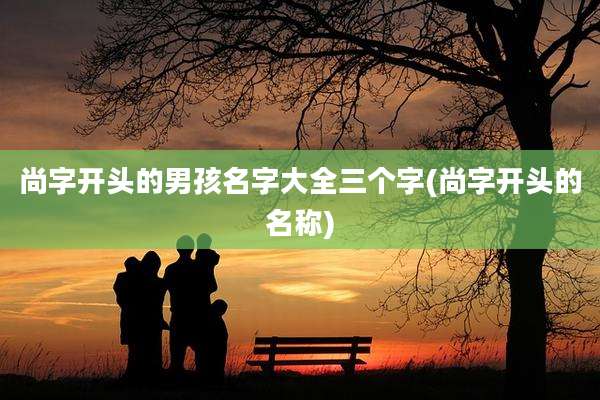 尚字开头的男孩名字大全三个字(尚字开头的名称)