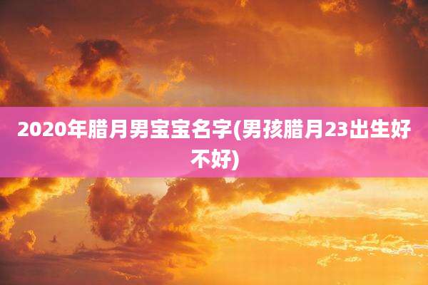 2020年腊月男宝宝名字(男孩腊月23出生好不好)
