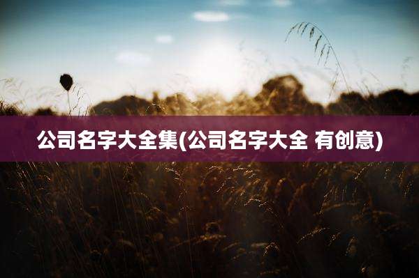 公司名字大全集(公司名字大全 有创意)
