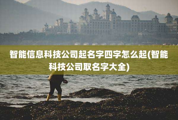 智能信息科技公司起名字四字怎么起(智能科技公司取名字大全)