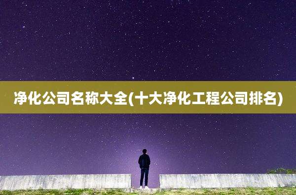 净化公司名称大全(十大净化工程公司排名)