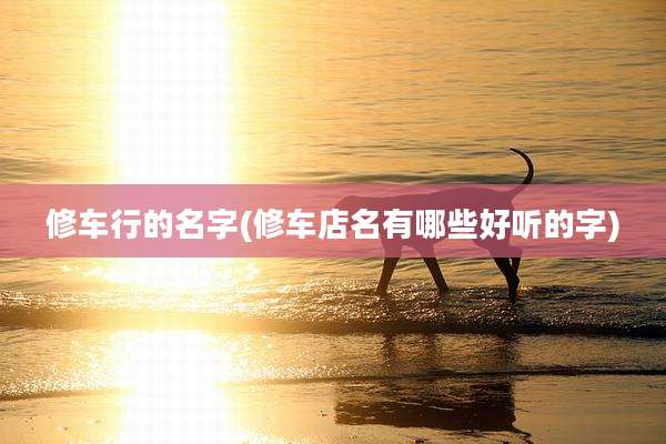 修车行的名字(修车店名有哪些好听的字)