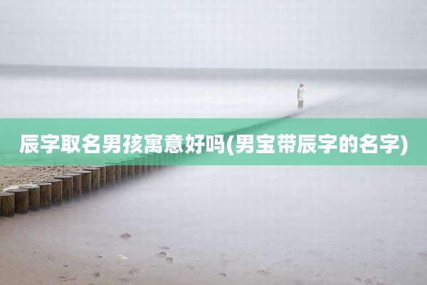 辰字取名男孩寓意好吗(男宝带辰字的名字)