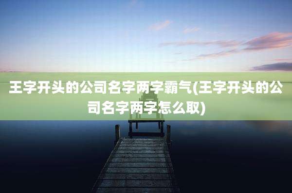 王字开头的公司名字两字霸气(王字开头的公司名字两字怎么取)